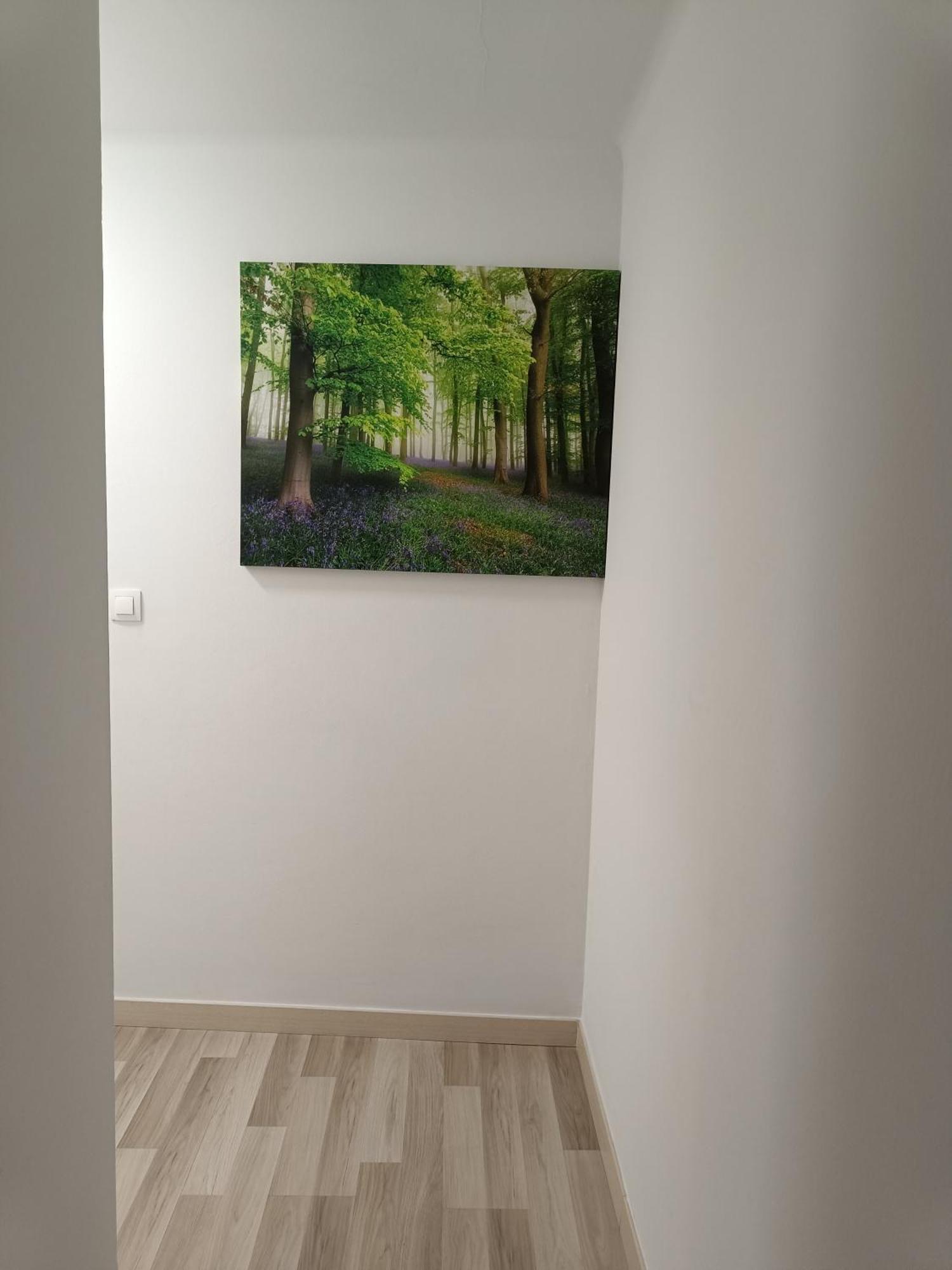 Apartamento Confort I La Seu d'Urgell Exteriér fotografie